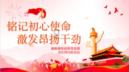 夏之许诺